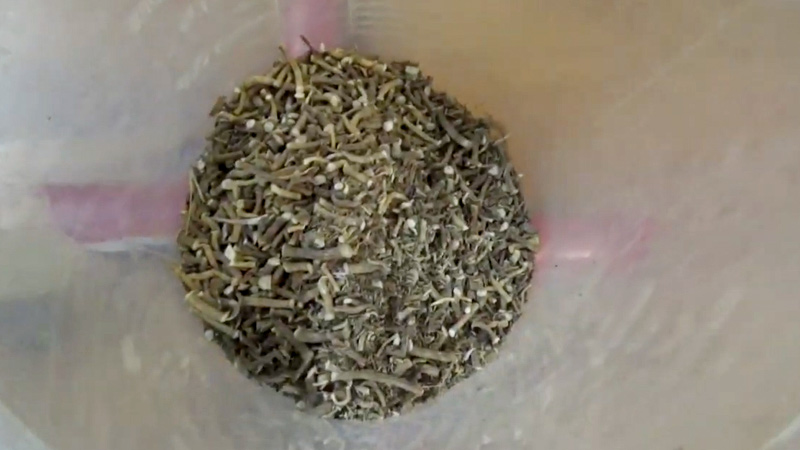 Health Benefits of Valerian Root