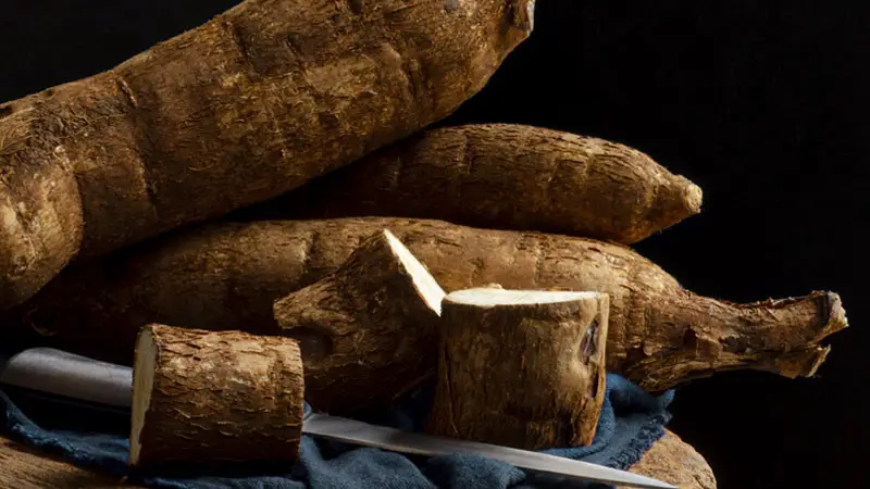 Health Benefits of Wild Yam