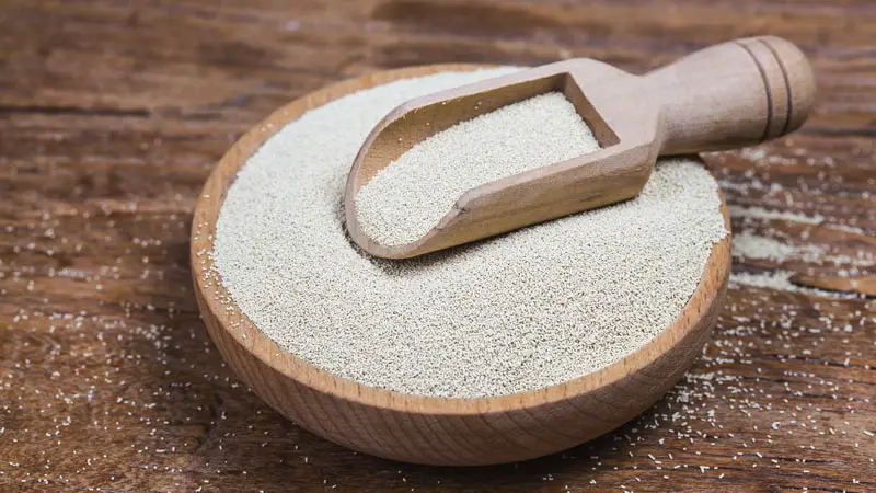 Health Benefits of Yeast