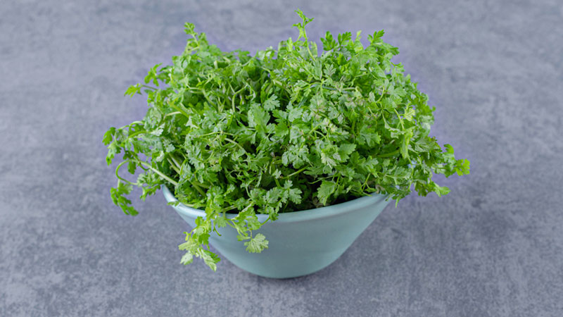 health benefits of dill leaves