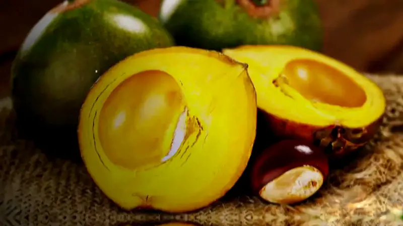 Health Benefits of Lucuma