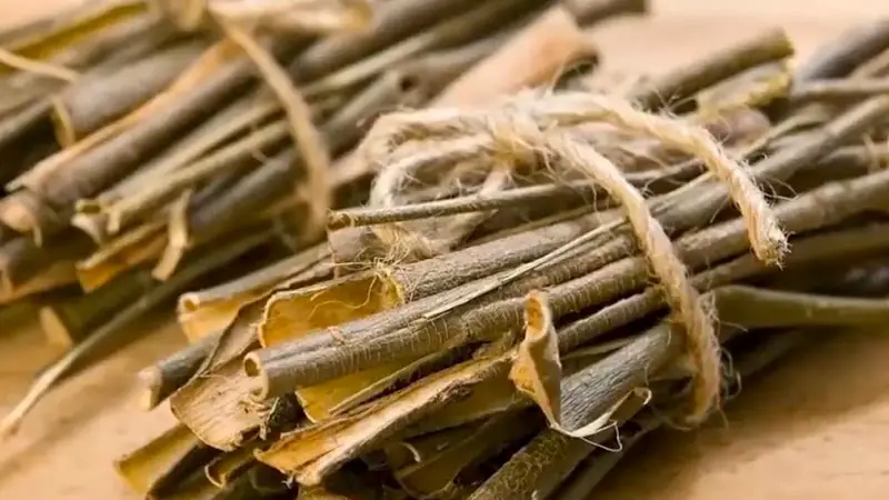 Health Benefits of Willow Bark
