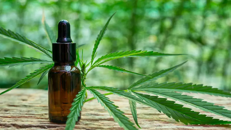 Health Benefits of Delta 9