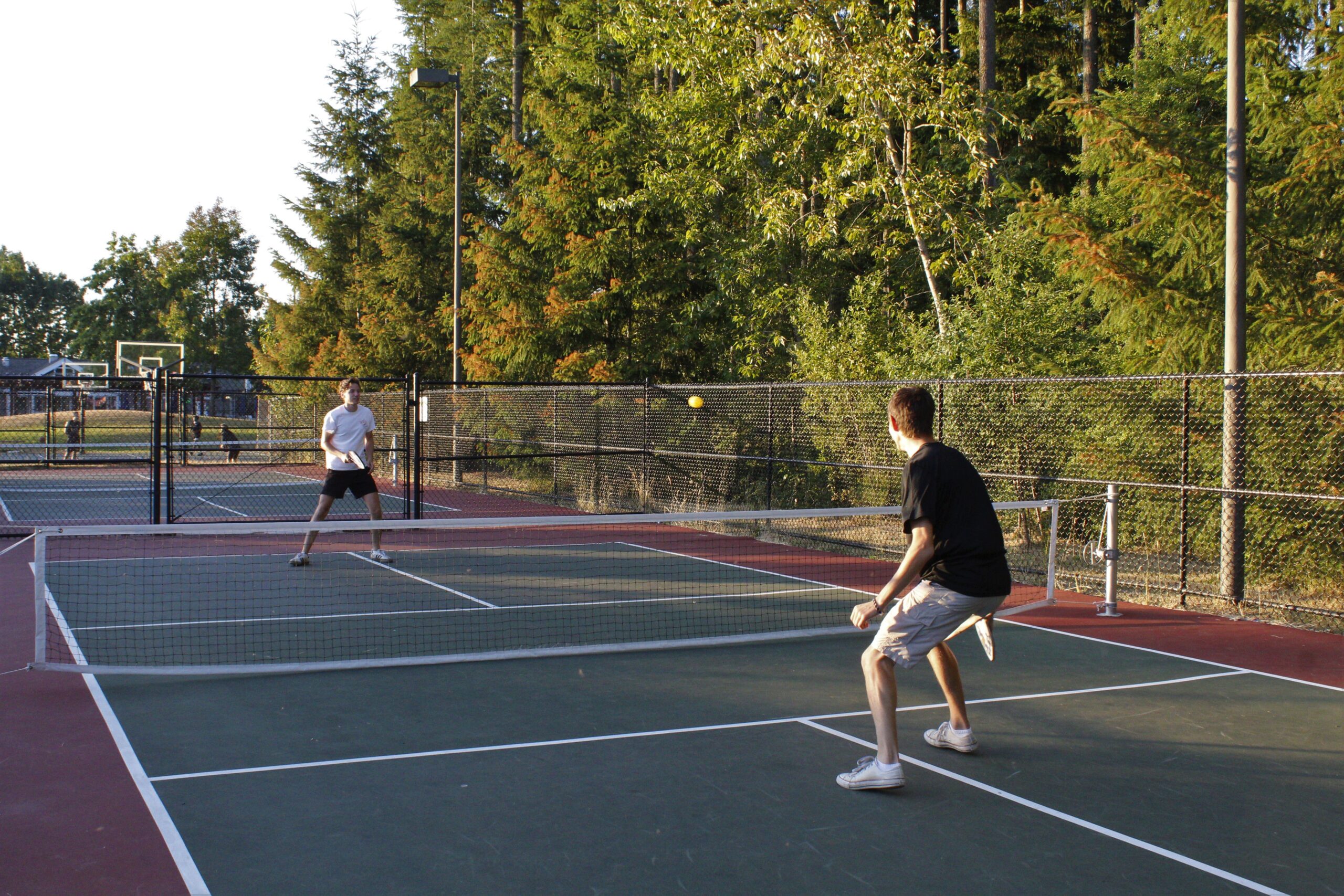 Pickleball Court
