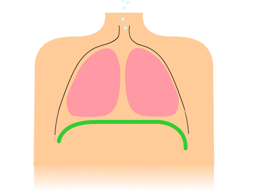 Diaphragmatic Breathing